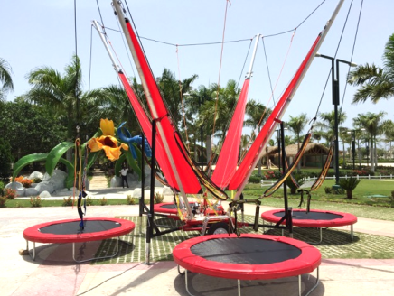 4 in 1 Bungee